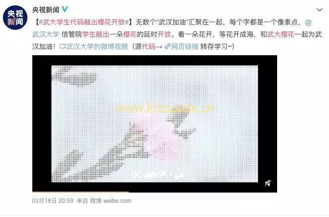 武大學(xué)生用Python敲出櫻花綻放，滿屏春天太浪漫